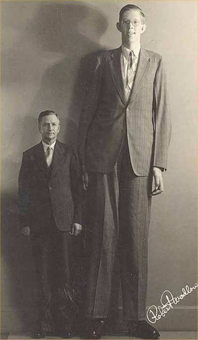 Robert_Wadlow